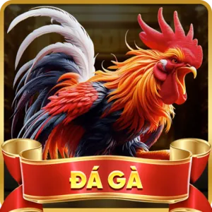 Mã QR tải ứng dụng daga68 code Android